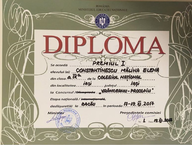 Diploma Constantinescu_Malina